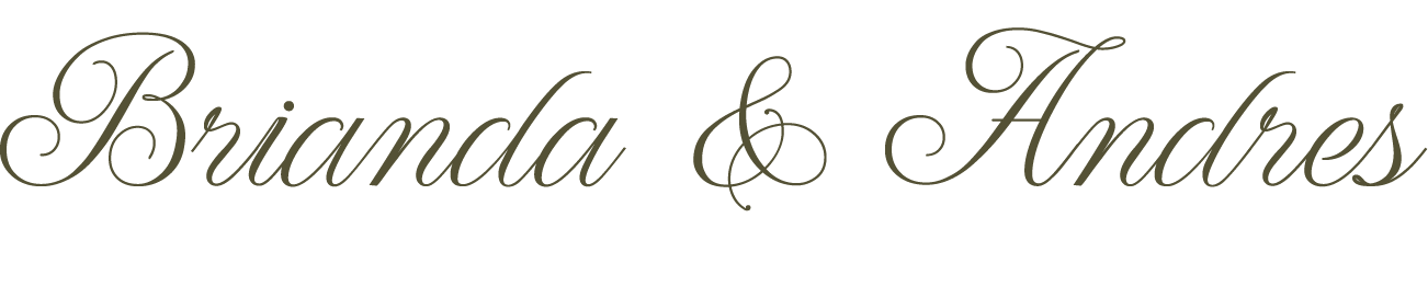 Brianda y Andrés